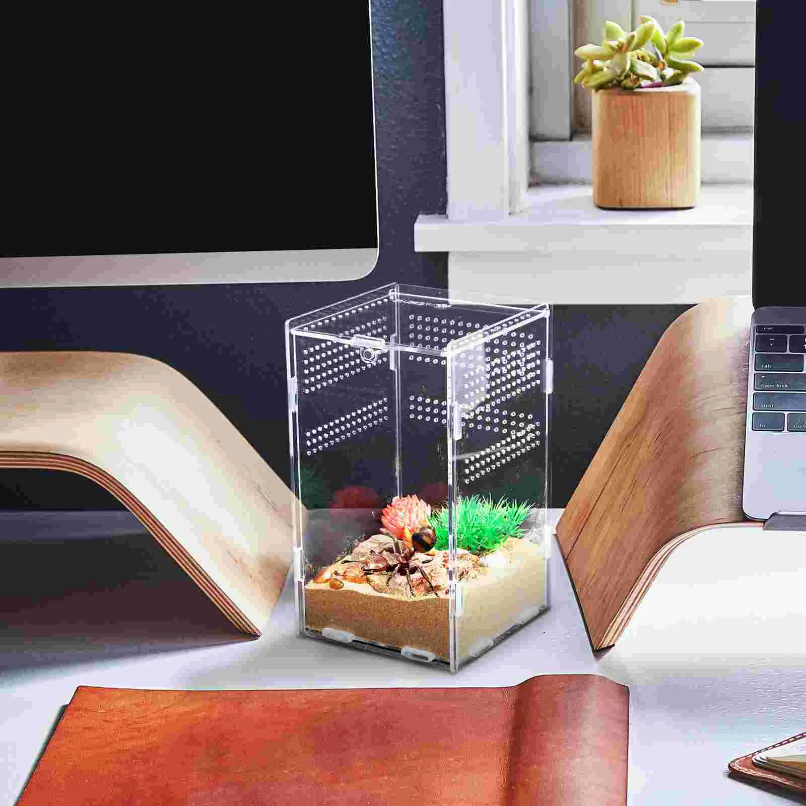 Feeding Box Stick Insect Enclosure Container Habitat Boxes Gecko Tank Acrylic Reptile Terrarium Snake Jumping Spider