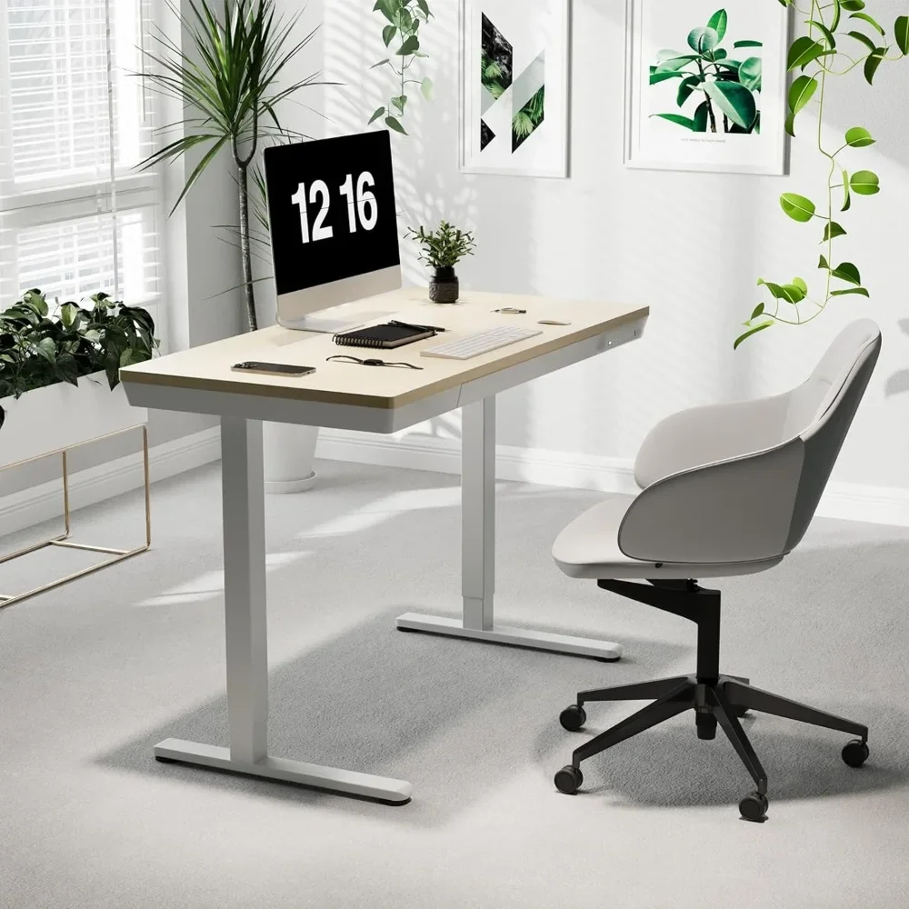 Electric Standing Desk with Drawers, Whole Piece 48 Inches Adjustable Height Desk,Modern Sit Stand Up Desk,Ergonomic Rising Desk