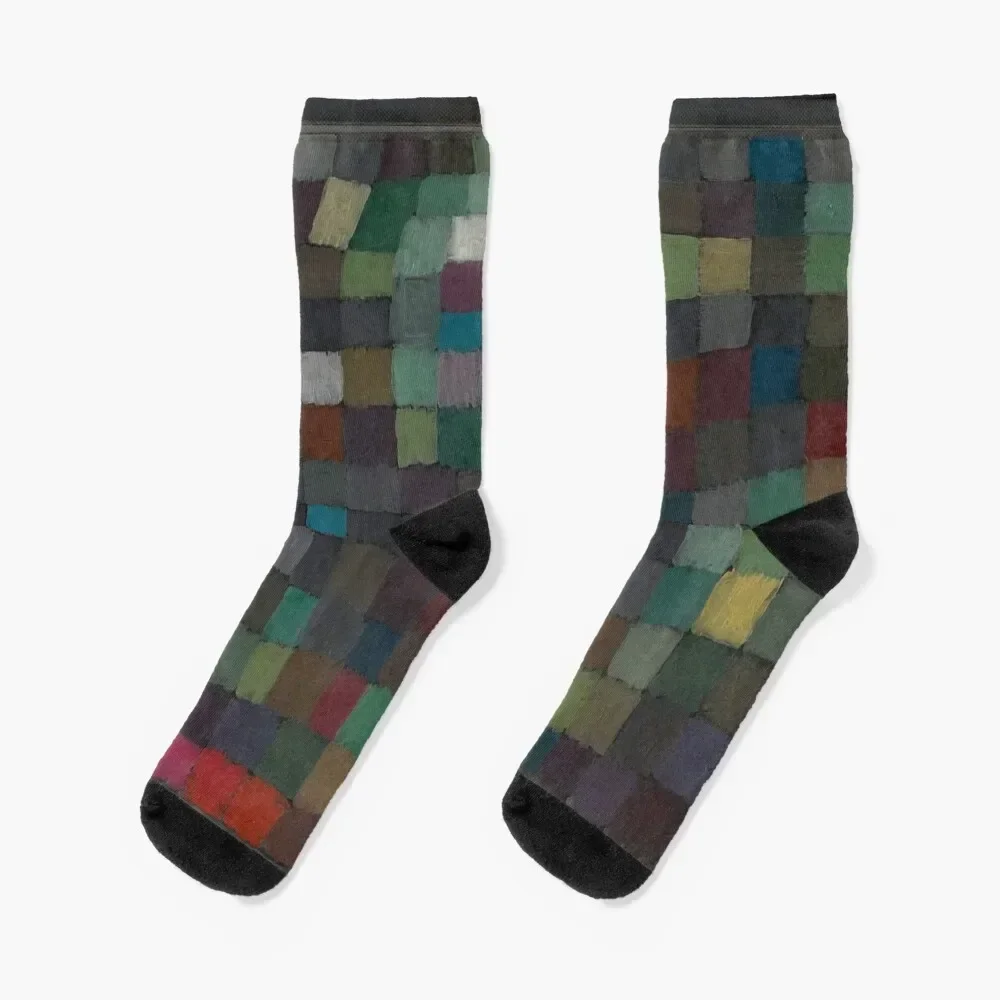 May Picture, Paul Klee Socks designer brand sports stockings heated snow Woman Socks Men's