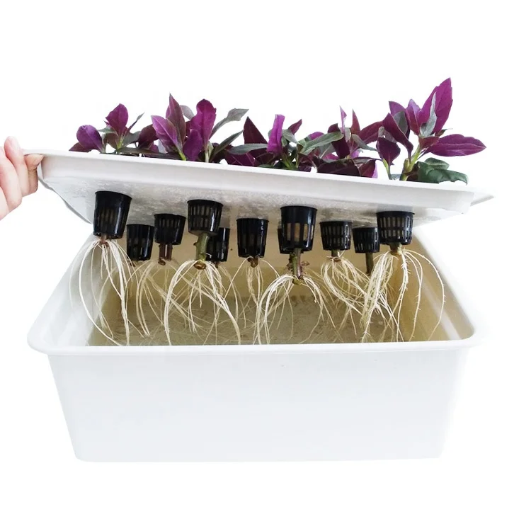 植物育成用種子スタータートレイ 温室苗床トレイ ガーデン苗床ポット