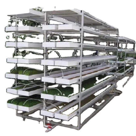 One-one hydroponic soy bean sprouts growing system mung bean for sprouting bean sprout machine