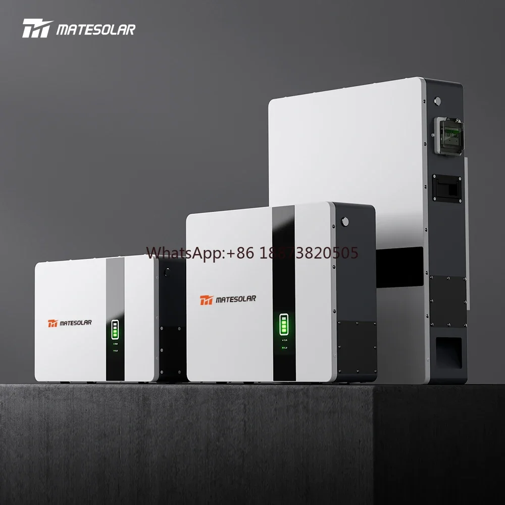 48 Volts Lithium Ion Energy Storage Battery 48V 100Ah 300Ah Lifepo4 Battery Pack Price For Home