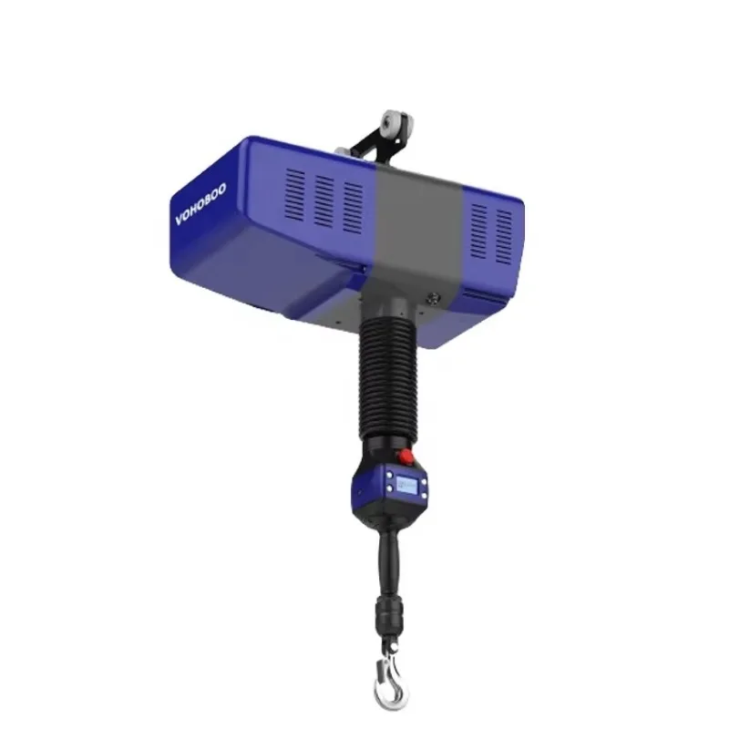 100kg 2.5m 0-30m/min Chain Hoist-New For Hotels & Retail Fast Logistics