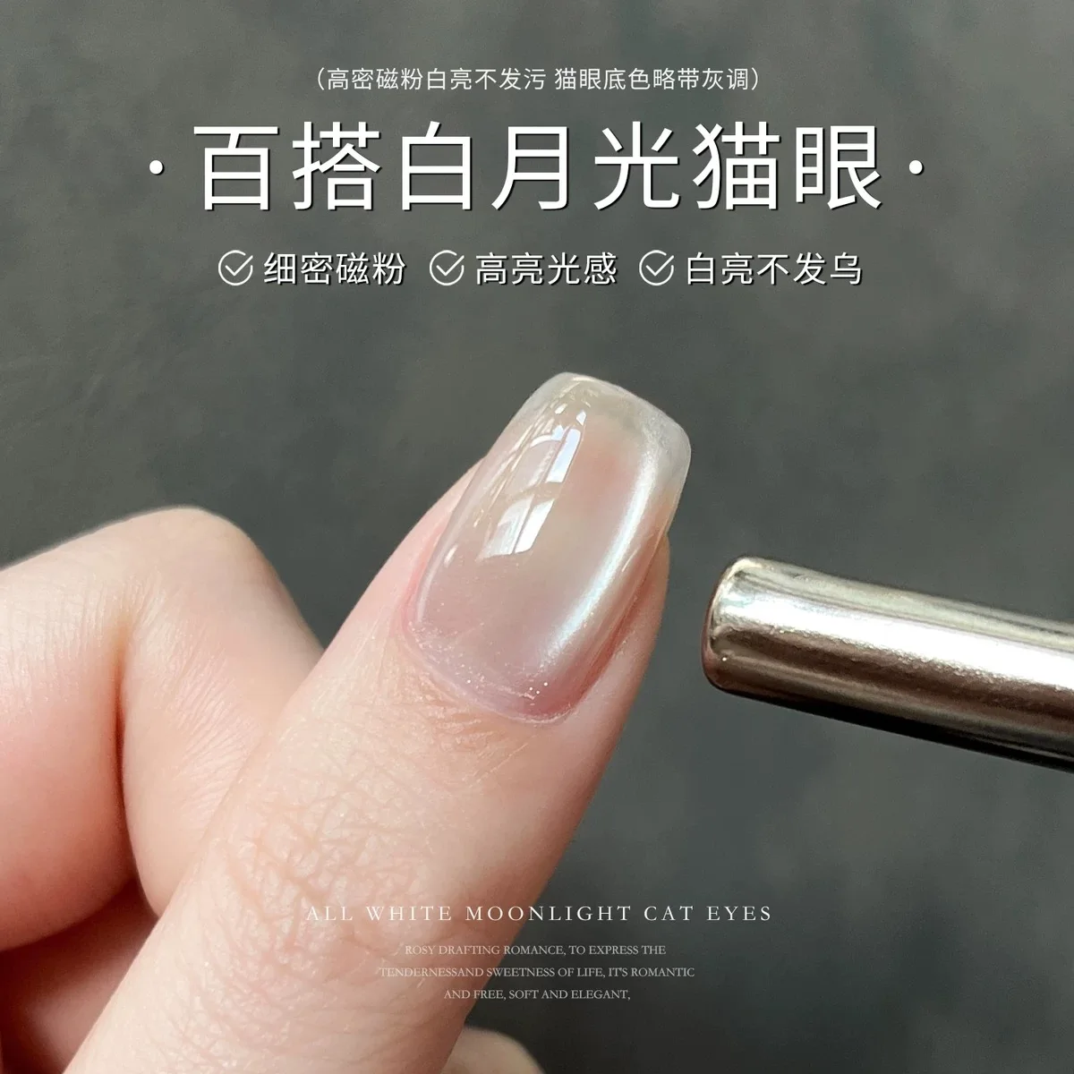 9D srebrno-biały proszek magnetyczny kocie oko jasny brokatowy pył pigmentowy do żelu polskiego Manicure Nail Art Design