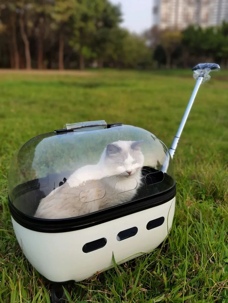 Haustier Trolley Katze Tasche Tragbare Katze Tasche Für Ausgehen Doppel Katze Haustier Kinderwagen Transparent Koffer Mit Großen Raum