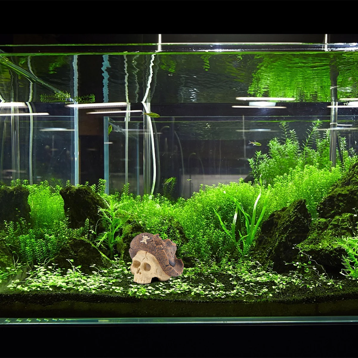 

1Pcs Pirate Skull Aquarium Resin Decoration Fish Tank Ornament Skull Craft Landscape Halloween Atmosphere Aquarium Decoration