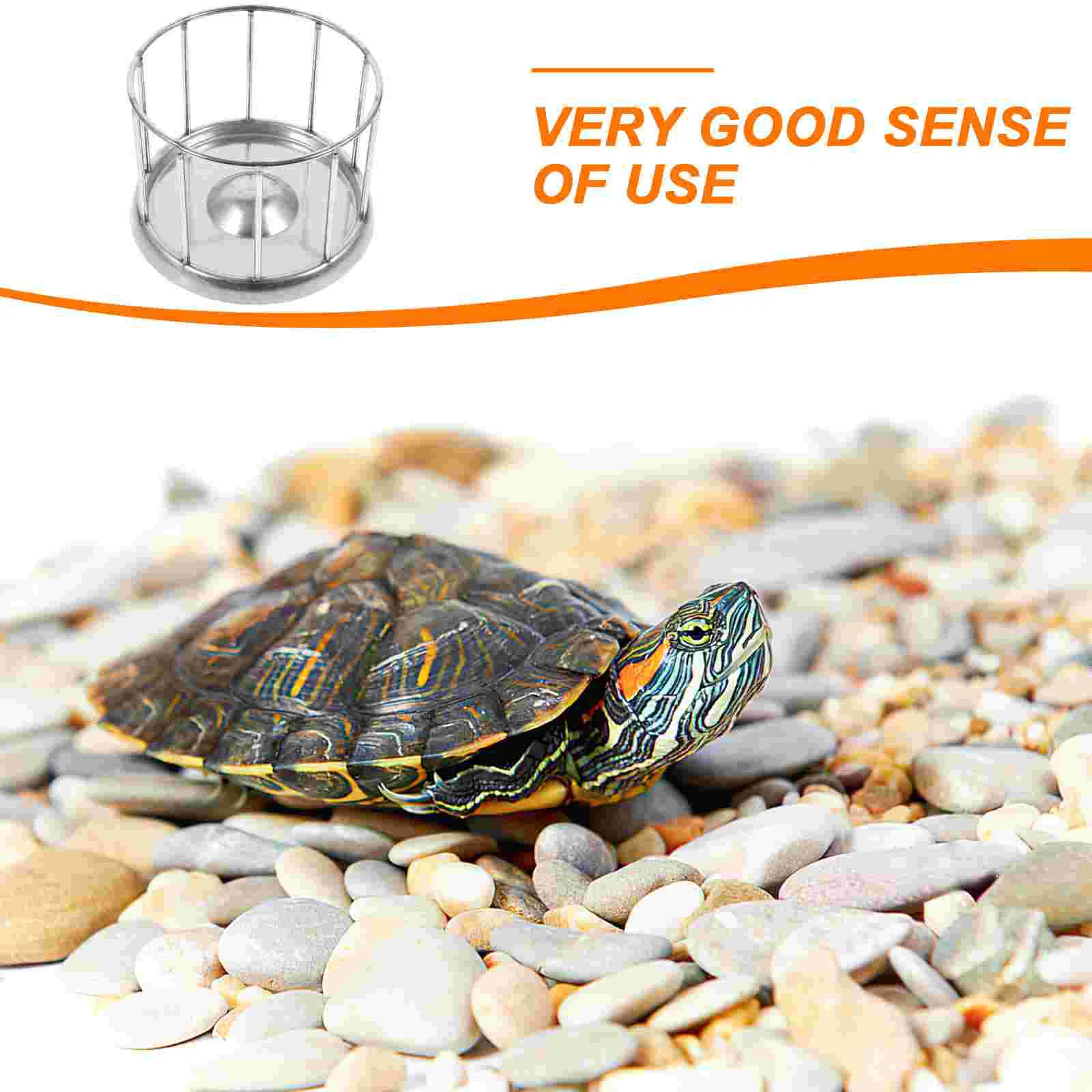 Tortoise Food Bowl Animals Pet Supplies Reptile Feeding Dish Stainless Steel Holder Container