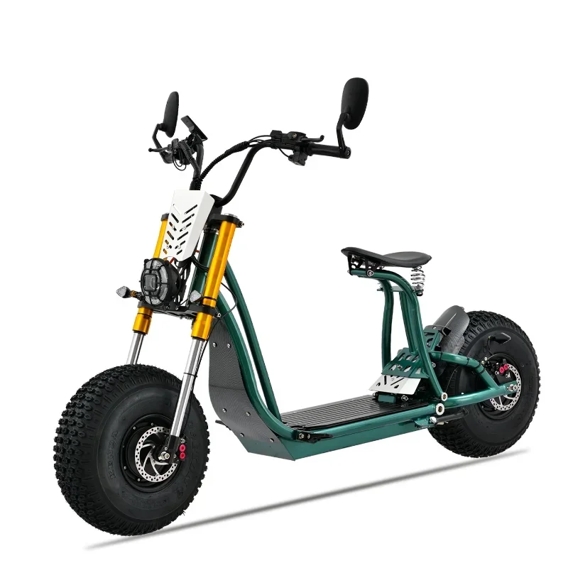 2023 New Electric Scooters 3000W Steel Frame for Men and Women Removable Battery Electric Chopper Motorbike Golf Kit