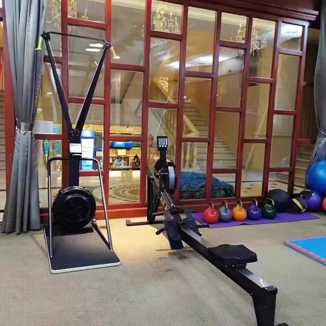

Family-friendly Ski Machine Air Resistance Fitness Equipment Ski Simulator with High Demand for Exercise