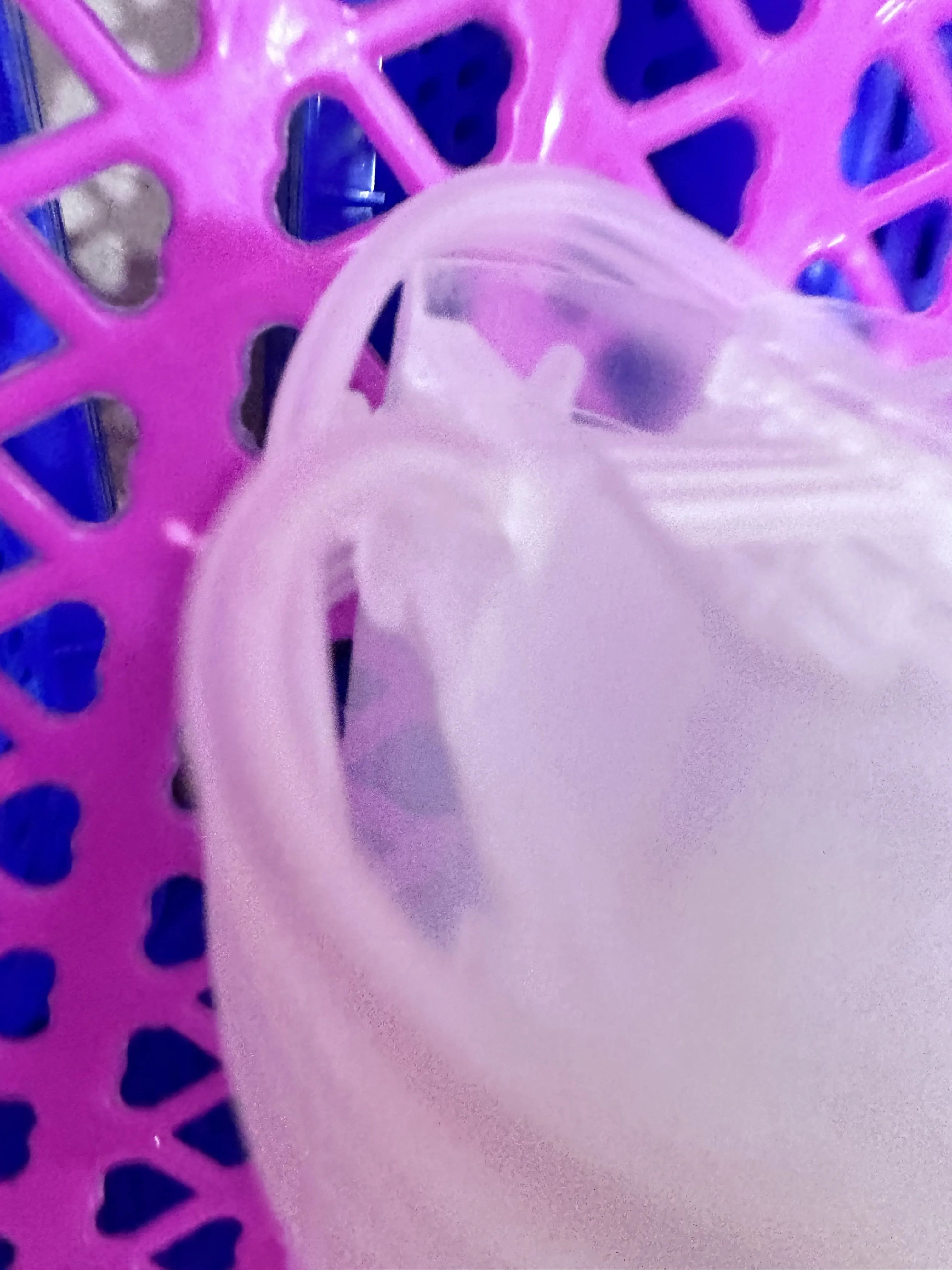 4 Color 85ML Diy Co…