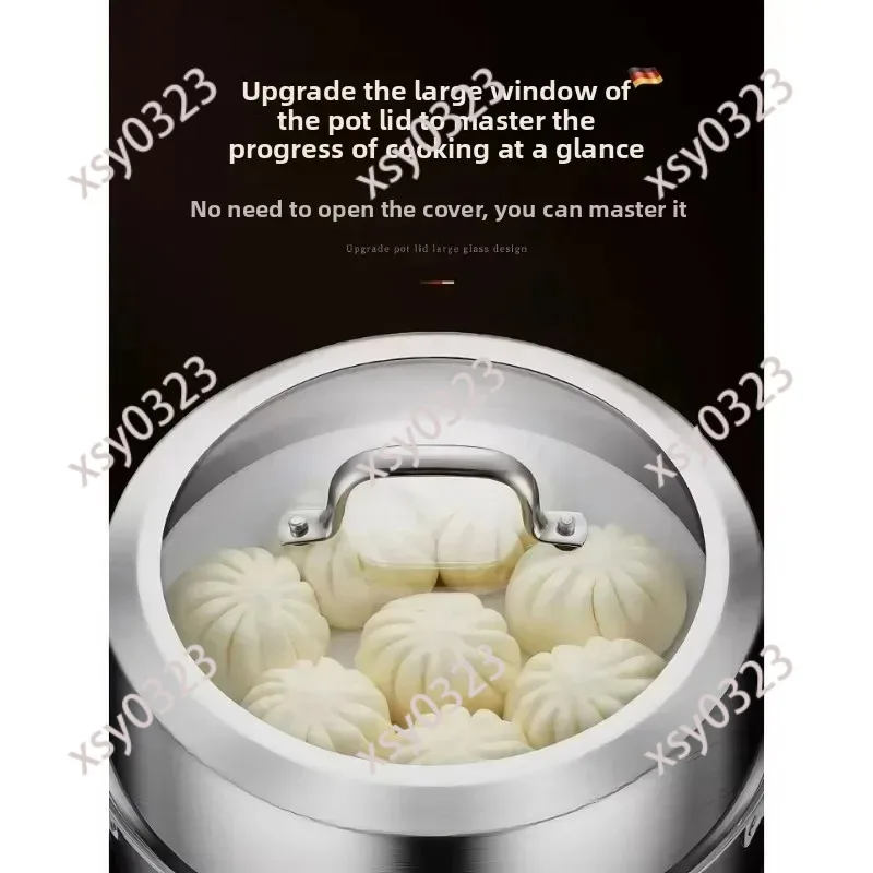 

2L/3L Large Capacity Steamer Pot, 316 Stainless Steel Thickened Multi-functional Cookware