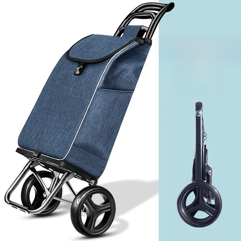 carrello-portatile-saliscale-con-manico-leggero-e-pieghevole-per-trasporto-verdure-e-oggetti