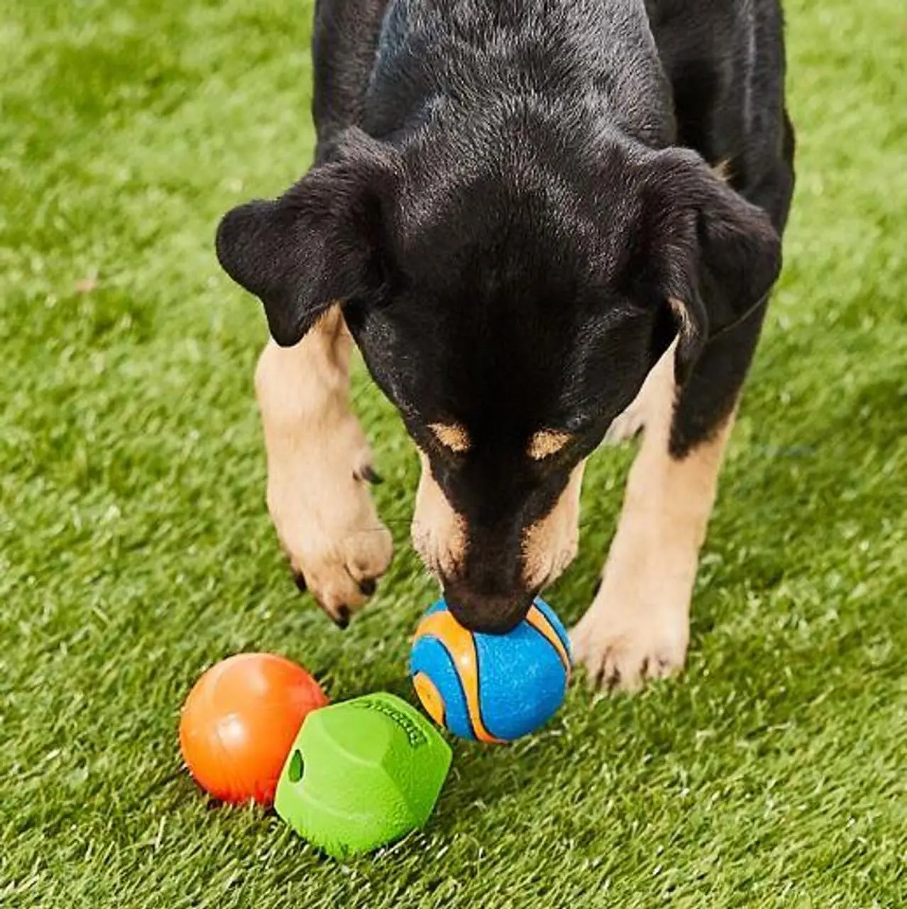 Chuckit! Fetch Medley Dog Ball Dog Toys, Medium (2.5 Inch) Pack of 3