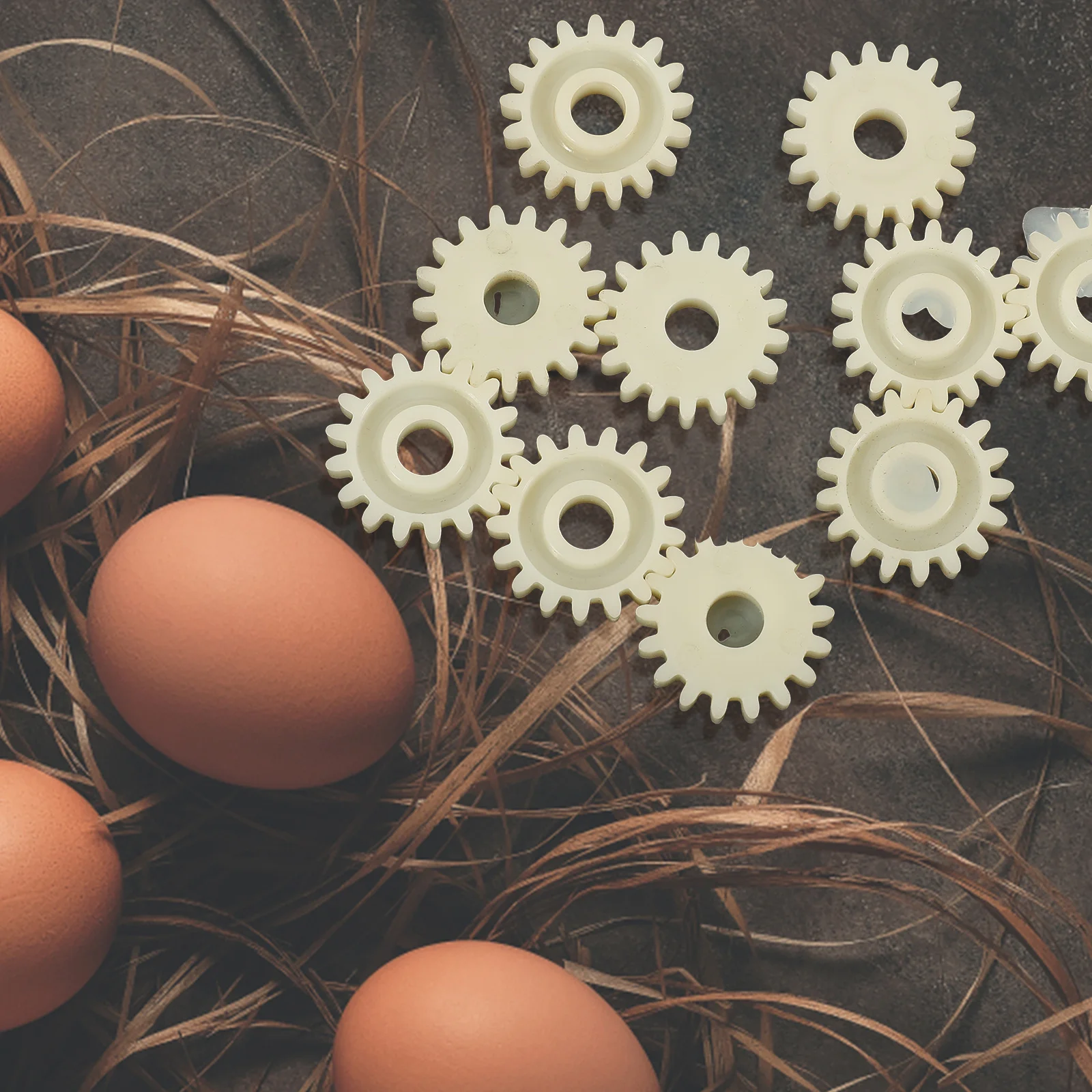 

10pcs Motor Motor Reversible Egg Turning Farming Farming Incubator Parts Equipment Gear For Egg Turning Hardware