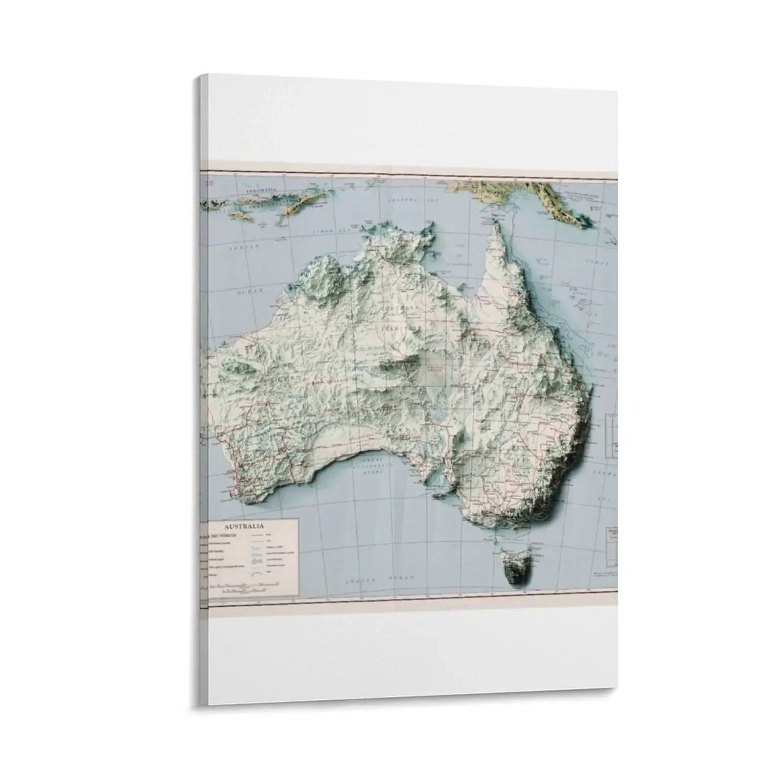 

1959 Australia Relief Map 3D digitally-rendered Canvas Painting decorative wall canvases Wall posters posters for wall