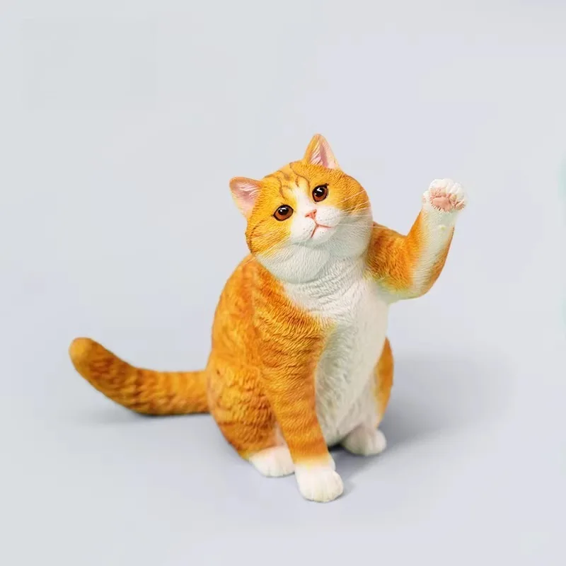 

Модель кошки британской короткошерстной породы JXK в масштабе 1/6, имитация животного, настольное украшение, подарок ручной работы, коллекционная фигурка