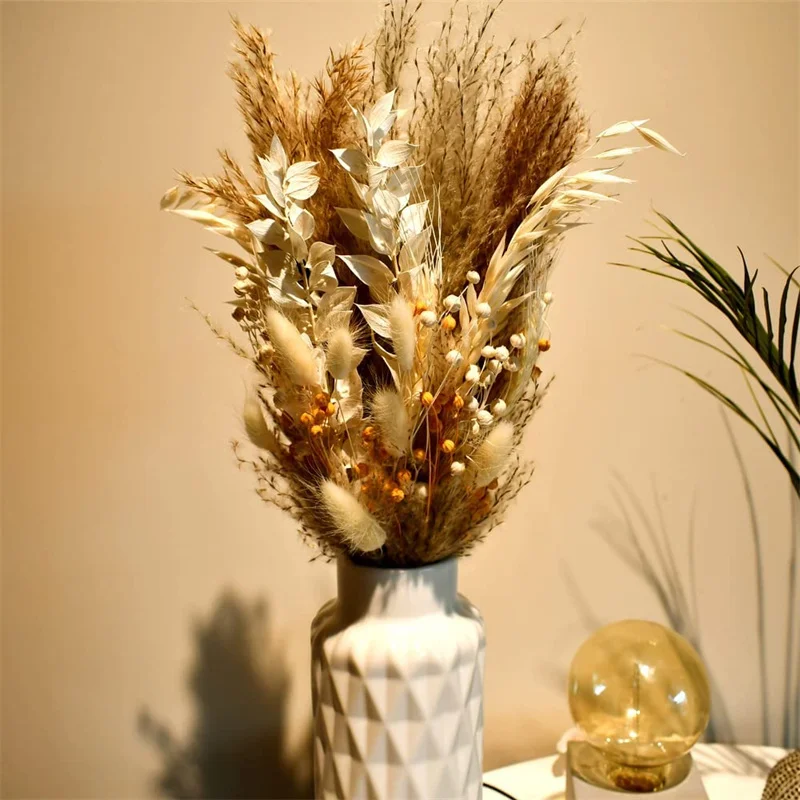 Real Natural Acacia Bean Oat Pampas Grass Dried Flowers Wedding Party Decoration Craft DIY Home Accessories Bouquet Photo Props