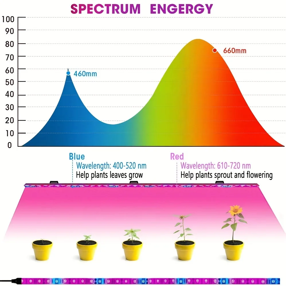 Taśma LED do uprawy roślin o długości 16,4 stopy, SMD 5050 Pełne spektrum Czerwony Niebieski 3:1 4:1 5:1 Taśma do uprawy roślin 12 V (niewodoodporna)