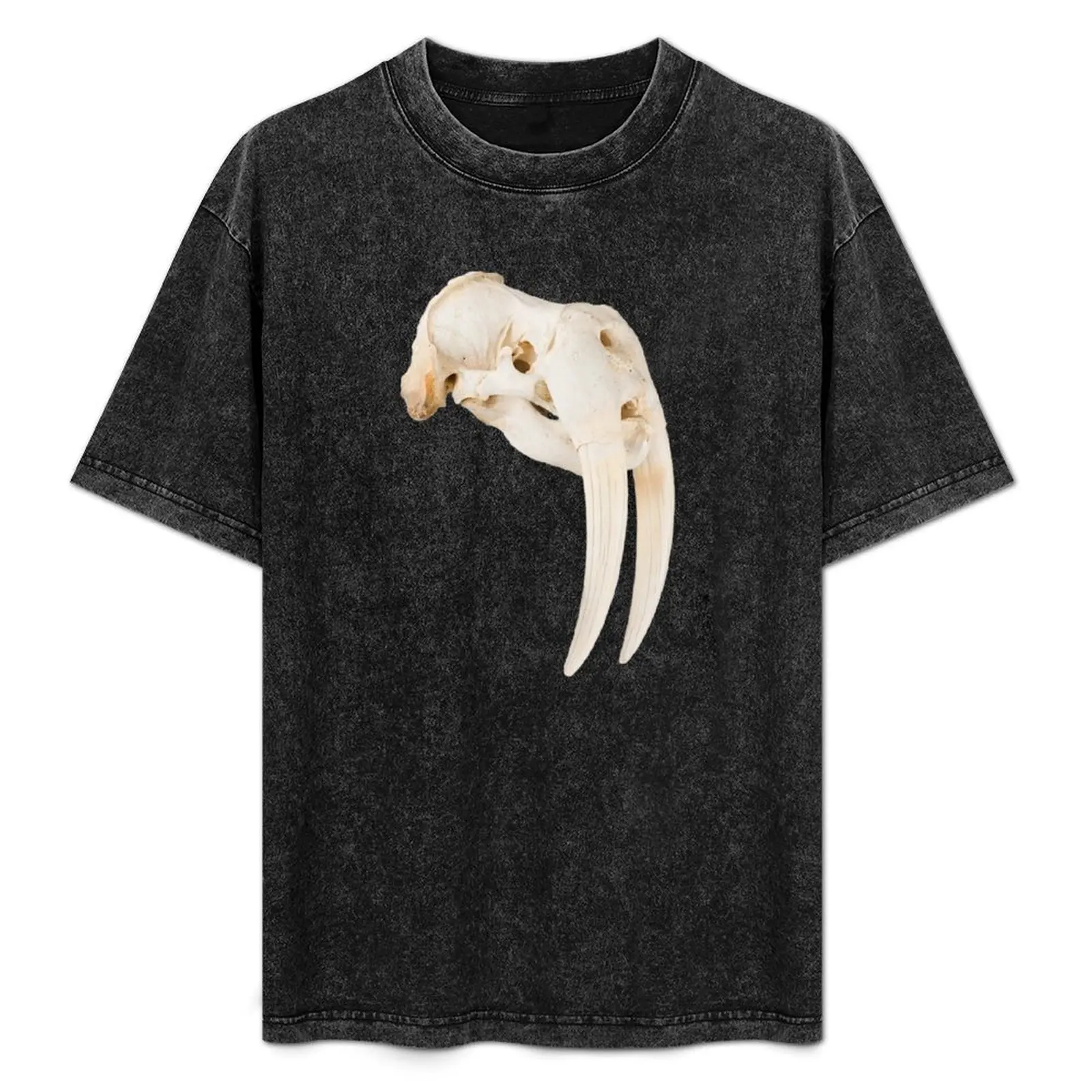 Taxidermy Walrus Skull T-Shirt oversized graphic tee street wear oversized tee shirts for men