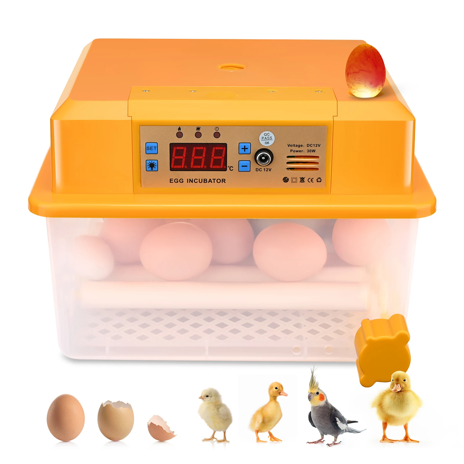 16 Automatic Double Electric Egg Incubators Mini Automatic Incubator With Flipper Used To Hatch Goose and Quail Eggs