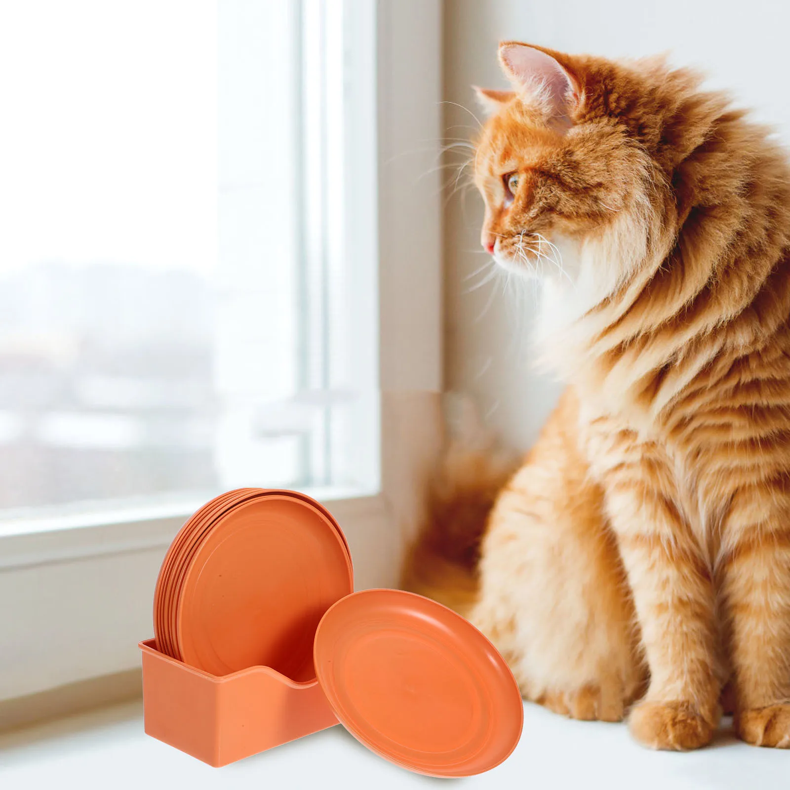 

8pcs Cat Set Shallow Plastic Plates Stable Base Orange Kitten Bowls Short-Legged Cats Flat-Faced Breeds Small Plate Wet