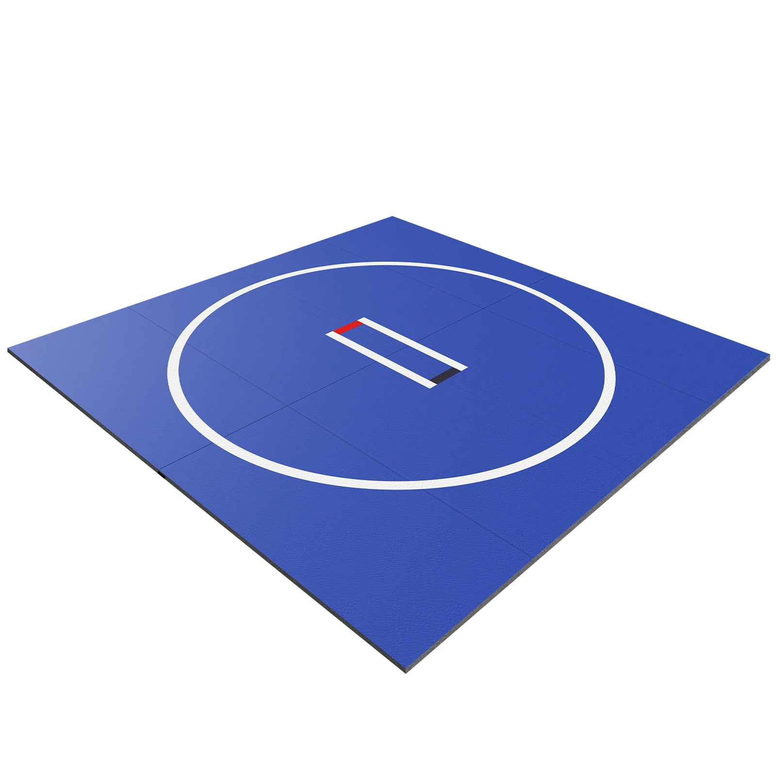 

3M X 3M Gymnastics Training Mat Wear Resist Thick BJJ Mat Anti-Slip Multi Exercise Blanket for Grappling Martial Art Boxing Judo