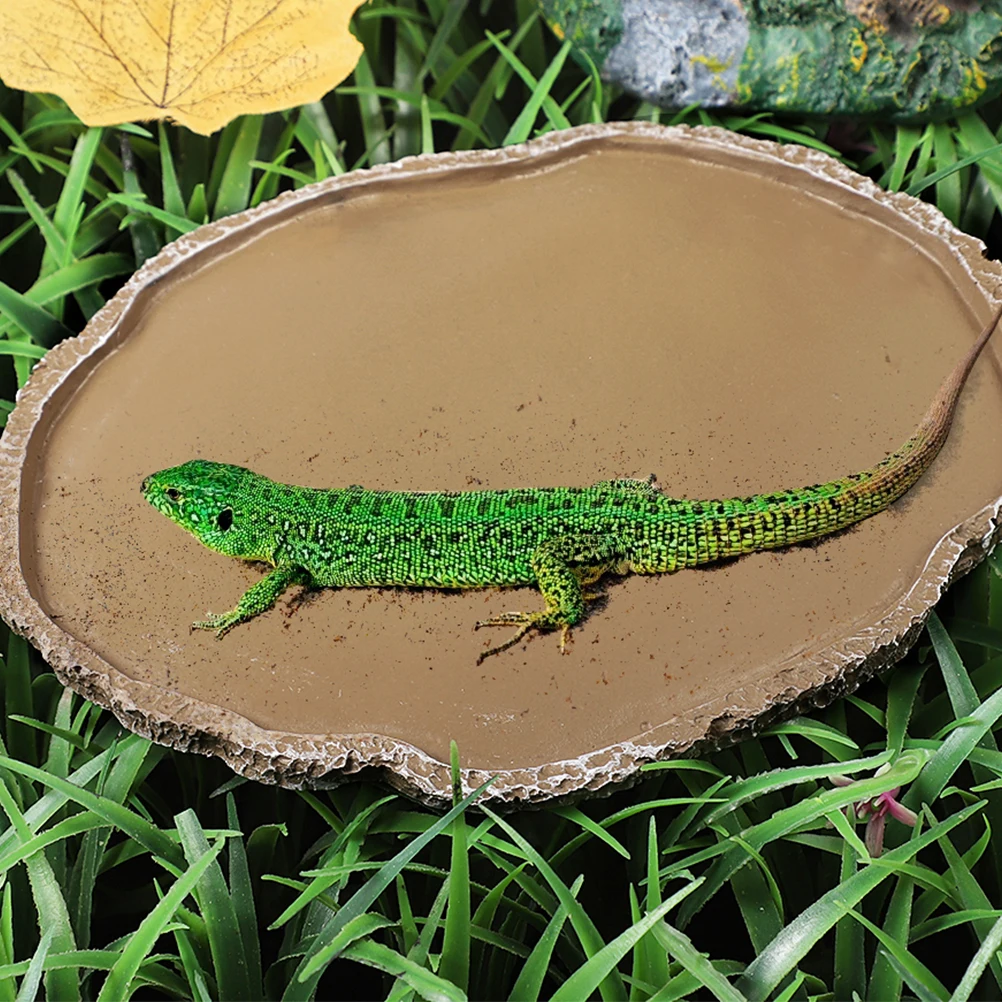 

2Pcs Resin Reptile Food Basins Lizard Water Dishes Pet Feeding Bowls Turtle Tortoise Tank Accessories Reptile Supplies