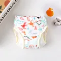 Colorful Dinosaur