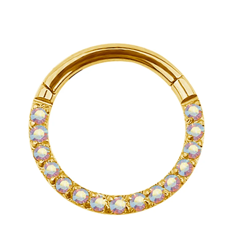 G23 Titanium Hinged Segment Hoop Nose Ring Earring