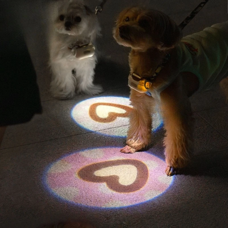 Dog puppy pendant light circle luminous fluorescent circle night walking dog night small light
