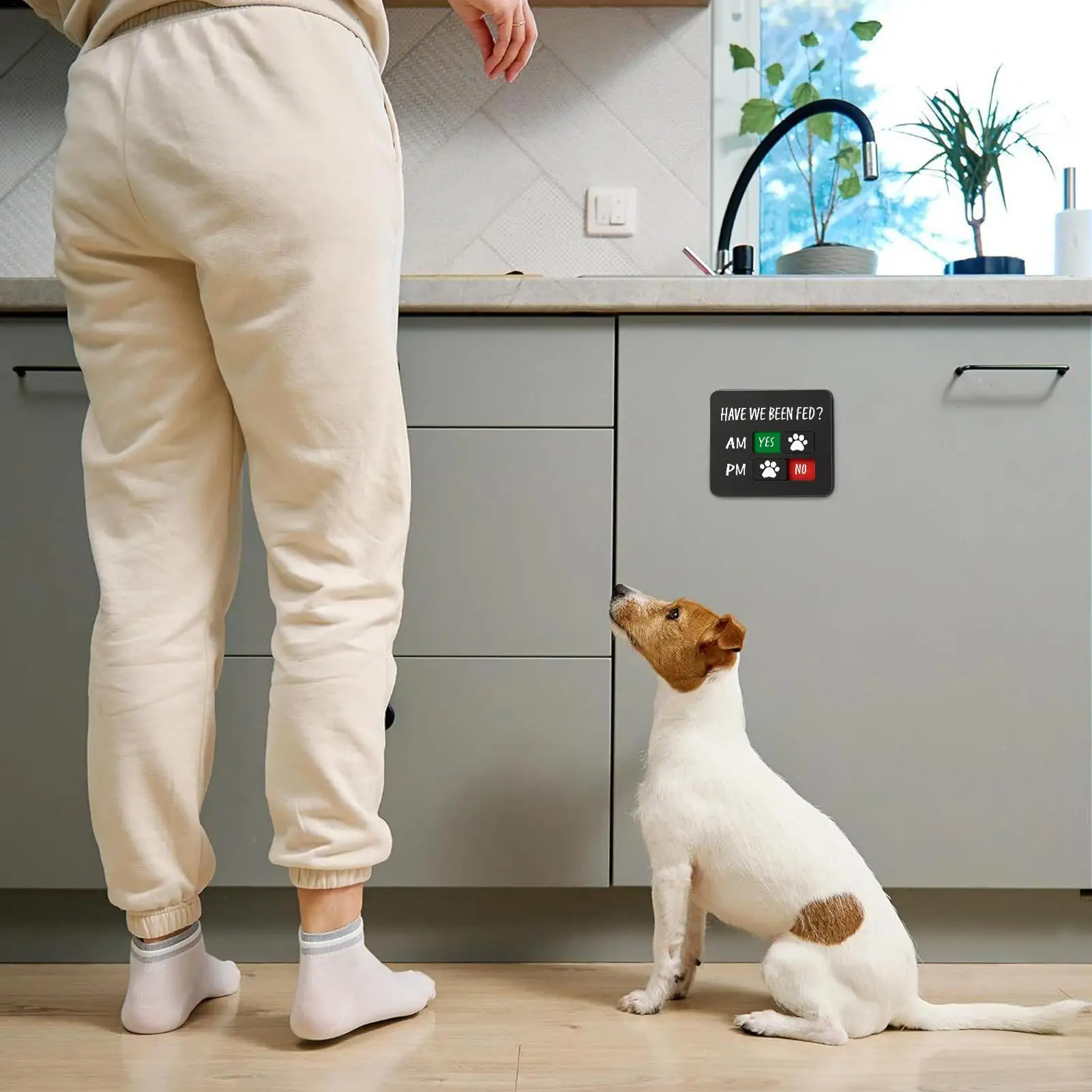 Dog Has Been Fed Si…