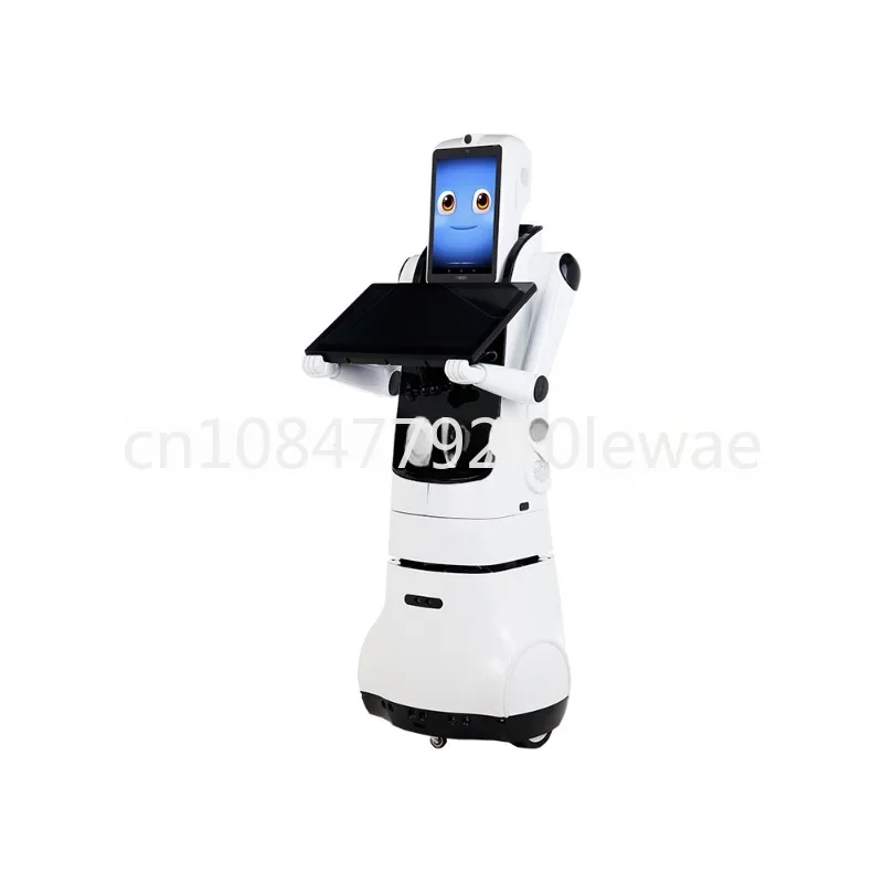 Industry Robot X2 (Basic Navigation Version) Dual-Screen Commercial Welcome Reception Intelligent Guidance Voice