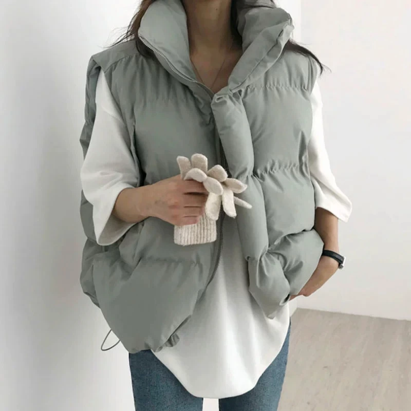 

Шикарный тонкий осенне-зимний повседневный свободный жилет с воротником-стойкой, верхняя одежда для женщин, универсальный винтажный жилет