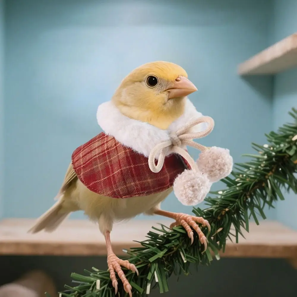 أنيق دافئ منقوشة الهامستر كيب مريح يندبروف الطيور تأثيري الملابس قابل للتعديل فروي طوق وشاح مجموعة زي الطرف