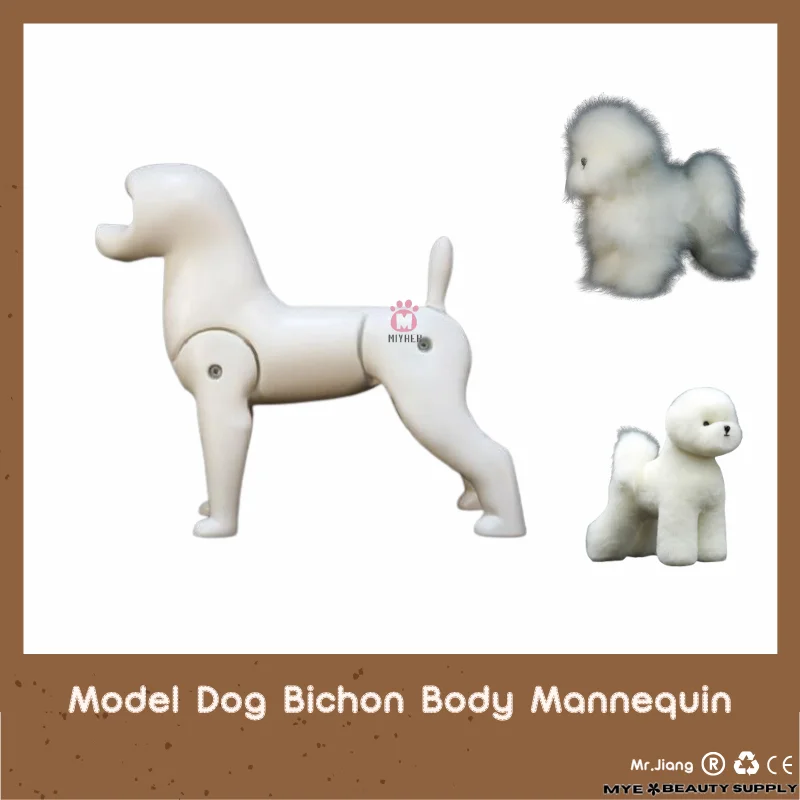 Pet Grooming Modle Dog Bichon Mannequin Only  For Display Groomer practice