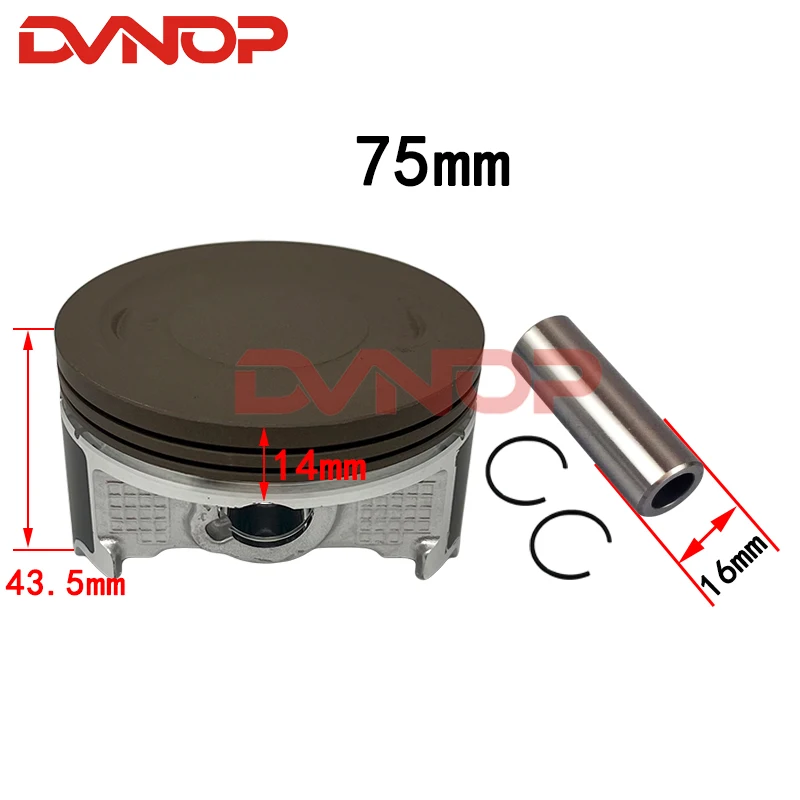 Motorcycle 75mm Piston and Ring Kit 300CC Big Bore for Italika Vortx 250 Blackbird 250 CPS300 RATO RT250 RBT250 RW172FMM