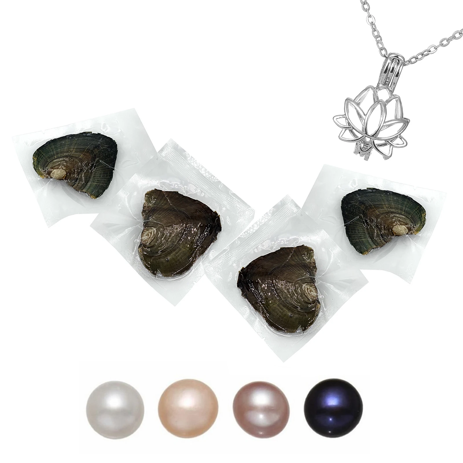 4PCs/Bag Oyster Wish Freshwater Cultured Love Wish Pearl Oyster Gift Surprise 4 Pearls + Necklace Shipped Without Oysters