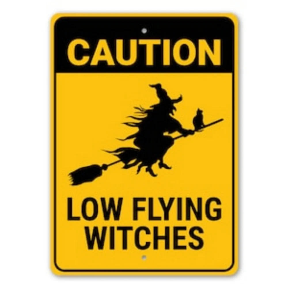 Niedrig fliegende Hexe, fliegende Hexe, fliegender Besen, Hexen liebhaber, Hexe, Halloween-Geschenk, gruselige Dekoration, Metalls child