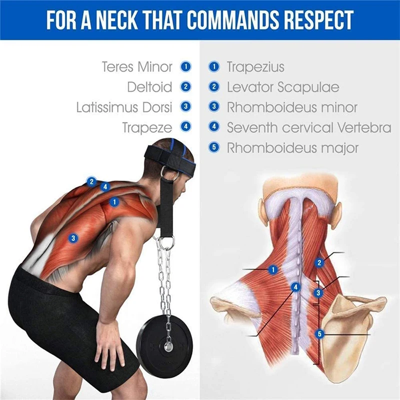 Neck Training Head Harness Weight Bearing Cap Adjustable Neck Builder Belt For Muscle Strengthener Fitness Powerlifting Workout image 3