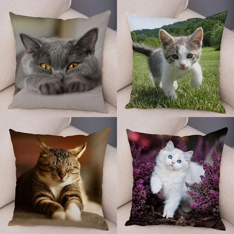 Hilarious Cute Cat Animal Double Sided Pillowcase Fun Decorative Cushion Cover For Kids Room And Home Insert Not Included