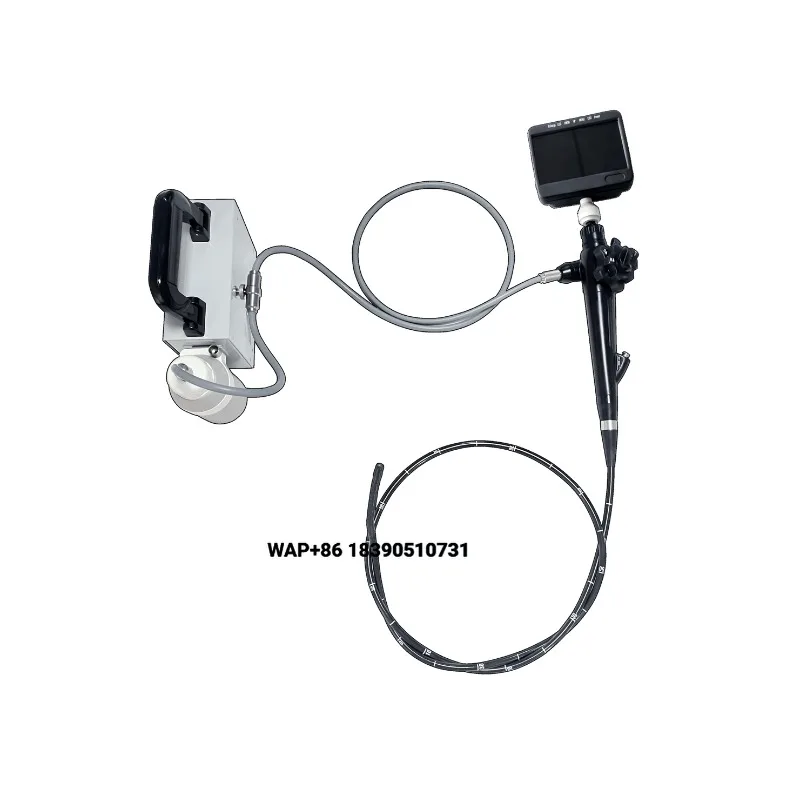 Mobile Veterinary Endoscope in Veterinary Clinic Hospital Veterinary Fibergastroenteroscopy Machine Gastroscope System