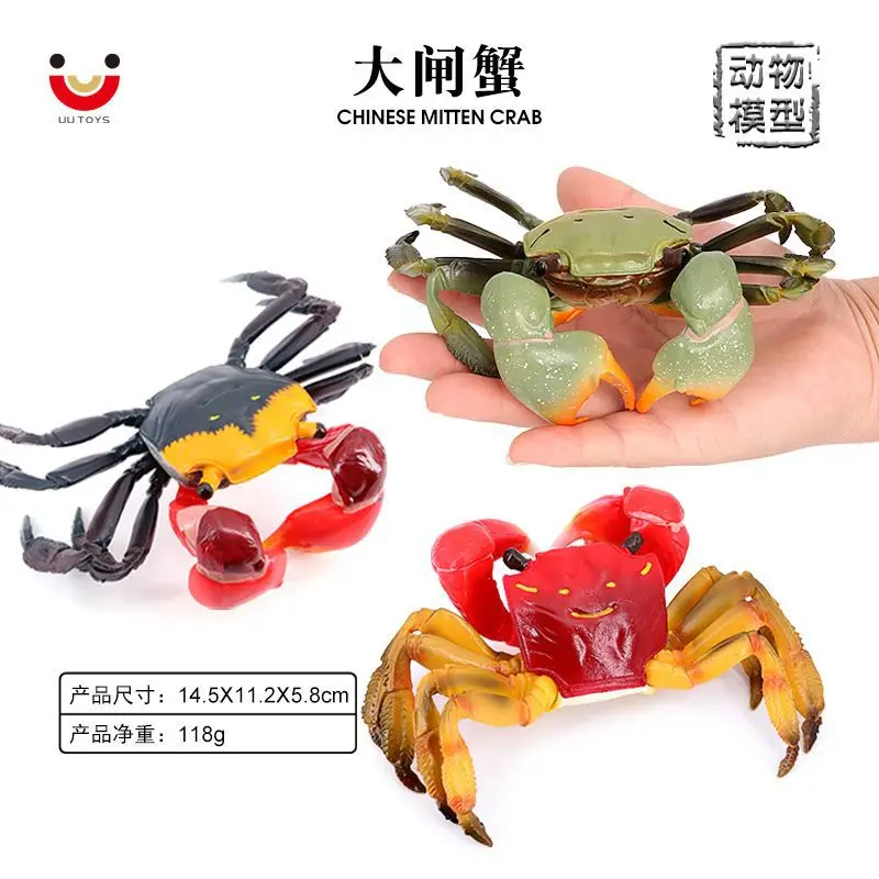 Simulated marine animal solid model hairy hairy crab children's early education cognitive toy ornament gift