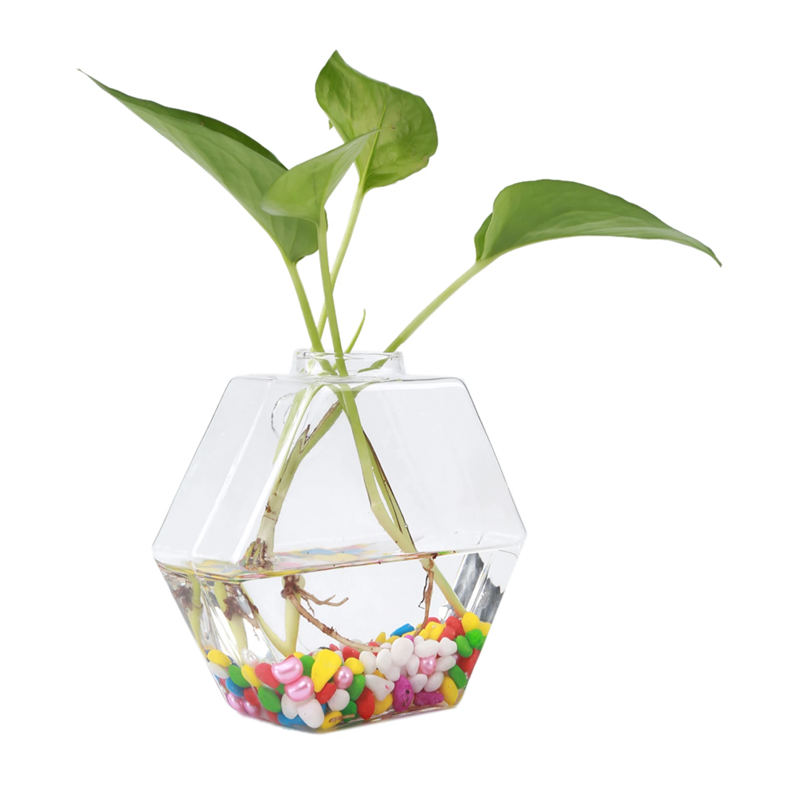 

Hanging Plants Flowers Glass Vase Wall Mounted Hydroponic Aquarium Container Home Room Decoration