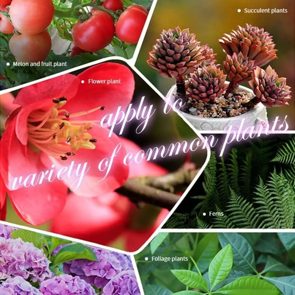 Universal Phosphorus Organic Fertilizer Speed Up Potassium Plant Nutrition Tablets Growth Slow Release Agent Flowers