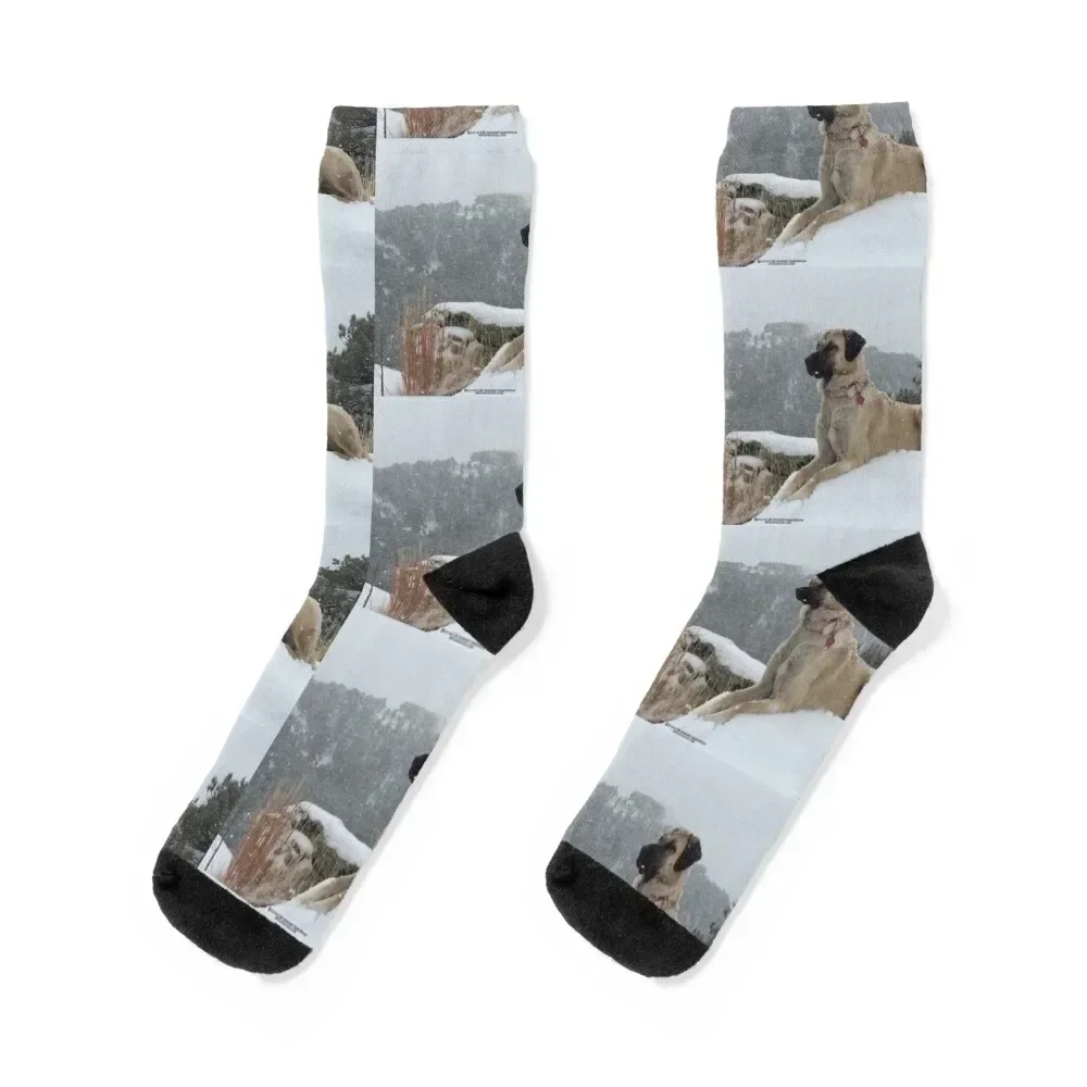 Anatolian Shepherd Dog on Guard Socks ankle colored kids Rugby Socks For Women Men's