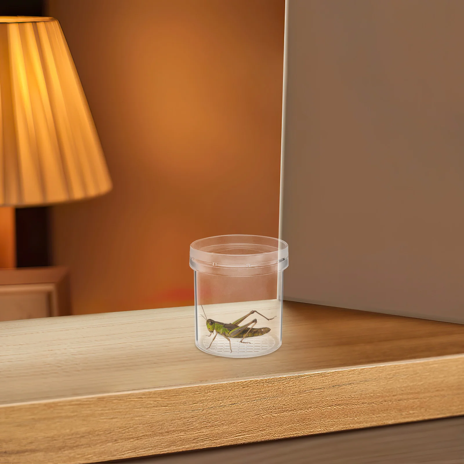 

8pcs Magnifying Insect Container Portable Insect Observation Box Bug Magnifier Jar For Collecting Insects Leaves Rocks Outdoor