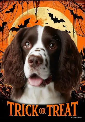 Springer Spaniel Liver/White Trick or Treat Halloween Flag