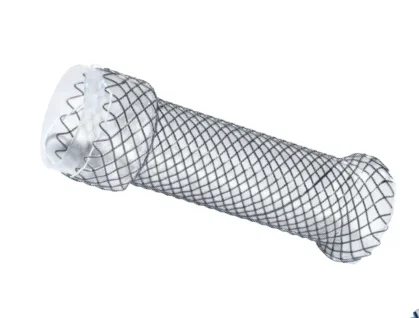 CE Certificate Esophageal Ureteral Coronary Stent Cardiac Intestinal Pylorus Duodenal Colonic Rectum Stent Medical Stents