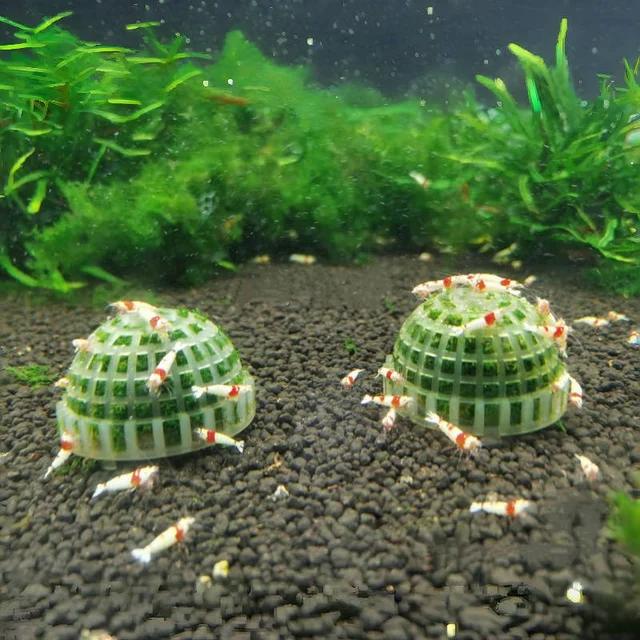 1szt Uchwyt na kulki z mchu akwariowego, akwarium DIY Moss Ball Shape Former Modeling, Moss Ball Holder Filter for Aquarium Moss Plant