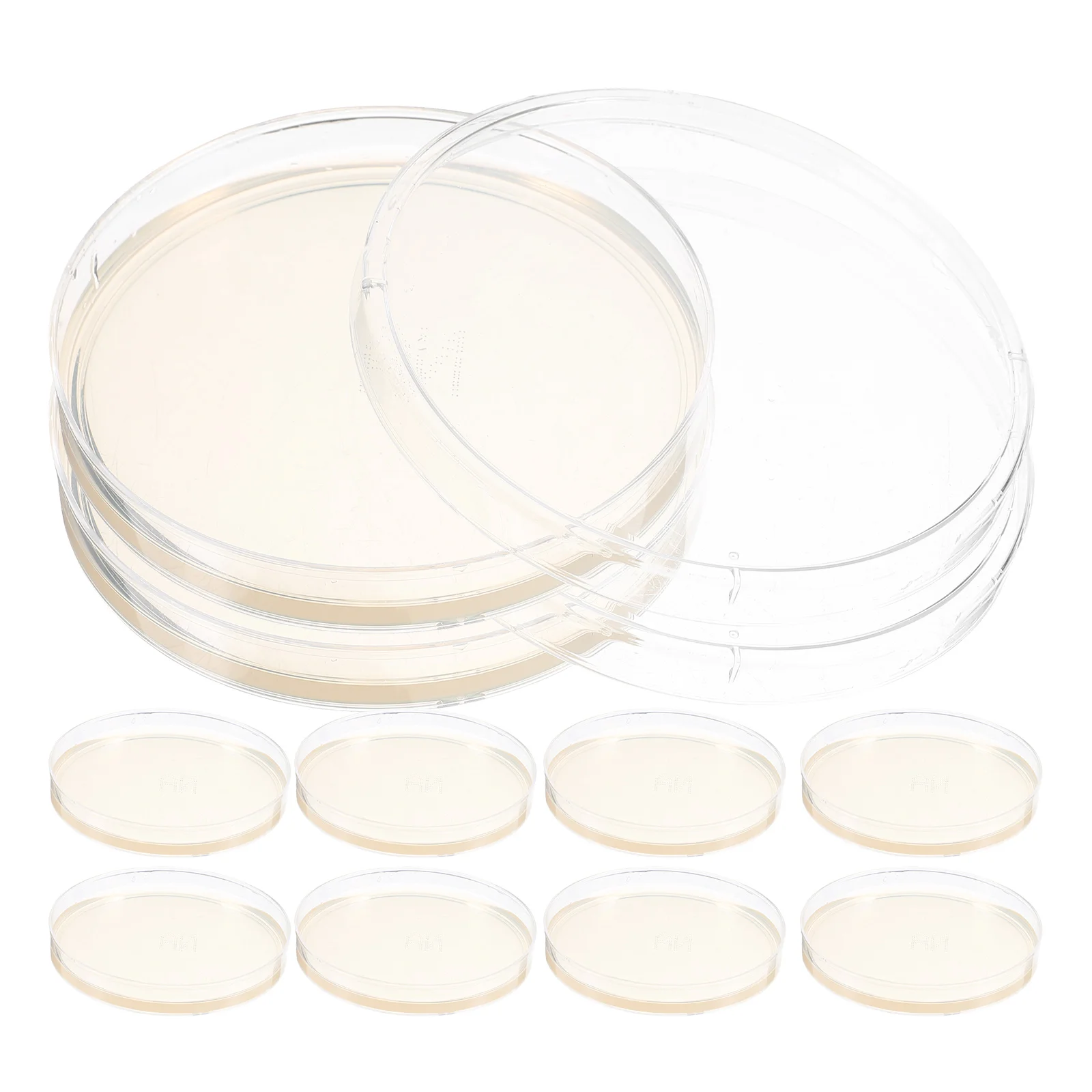 

10 Pcs Agar Plate Experiment Supplies Laboratory Flat Prepoured Petri Dish Plates Science Projects Tool